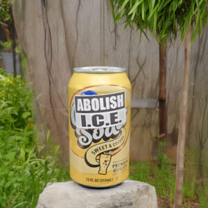 ABOLISH ICE 2026 Stickers Decals