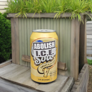 ABOLISH ICE 2026 Stickers Decals