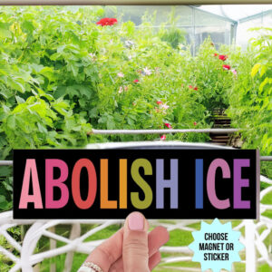 Abolish ICE Car Magnet Bumper Sticker