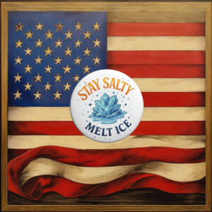 Anti-ICE Political Protest Pins