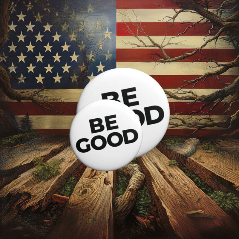 FDT, Be Good Pin Button