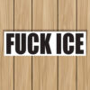 Fuck ICE Waterproof Bumper Sticker