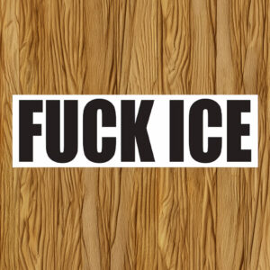 Fuck ICE Waterproof Bumper Sticker