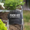 Fuck Ice No Human Is Illegal Hat