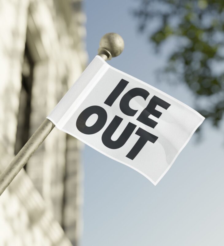 ICE Out Flag