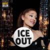 Ice Out Pin Button