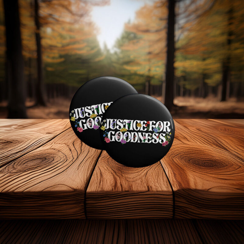 Justice for GOODness Renee Nicole Good Pin Button