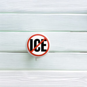 NO ICE – Anti-ICE Pin