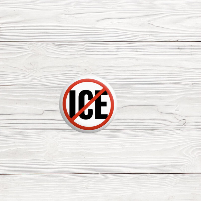 NO ICE – Anti-ICE Pin