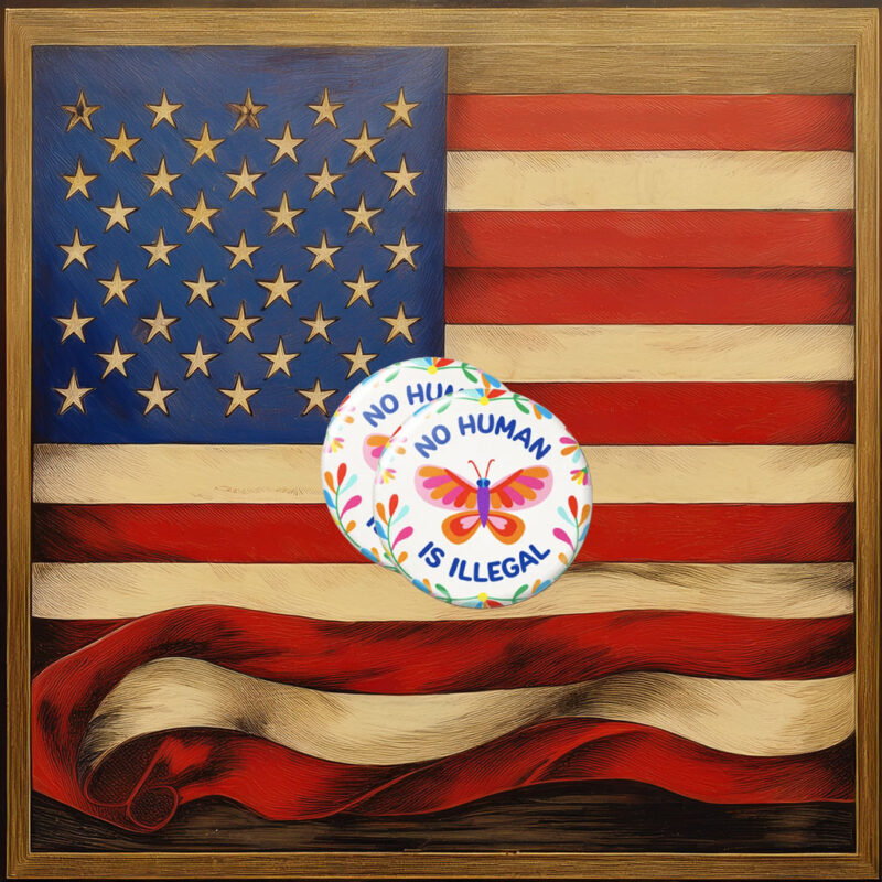 No Human Is Illegal Pin Button