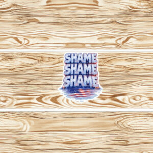 Shame on ICE Sticker