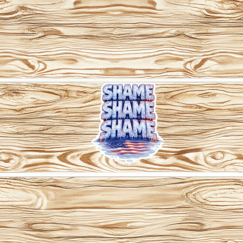 Shame on ICE Sticker