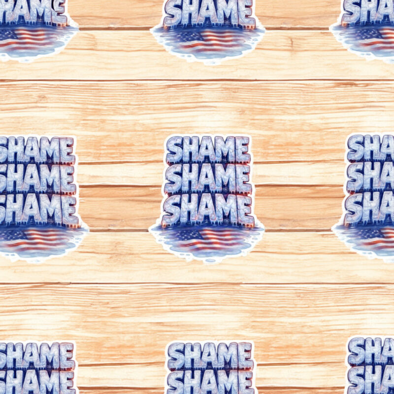 Shame on ICE Sticker