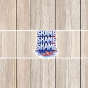 Shame on ICE Sticker