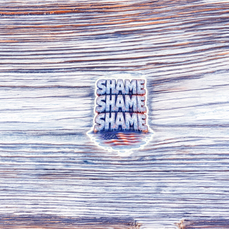 Shame on ICE Sticker
